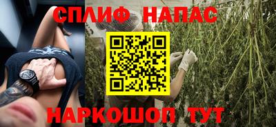 СК Будённовск