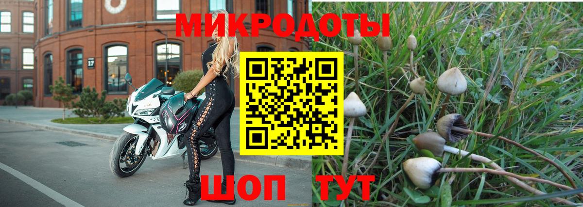 Галлюциногенные грибы мухоморы  Вход с VPN  Псилоцибиновые грибы ЛСД  Россошь 