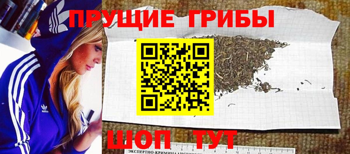 Псилоцибиновые грибы Psilocybine cubensis Россошь